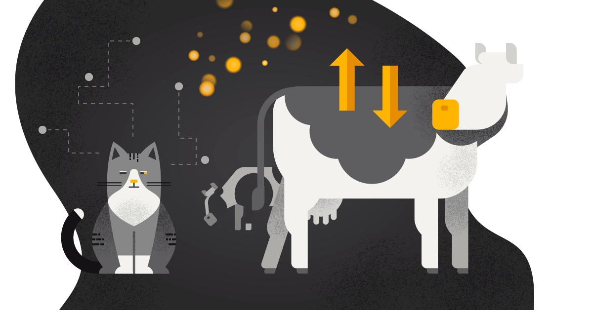 Kæledyr vs. kvægdrift - hvordan leder du din IT-drift?